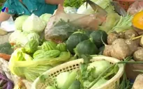 14/63 mẫu rau quả tại Hà Nội dư lượng thuốc bảo vệ thực vật