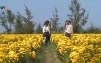 Sức hút bình yên từ vùng đất “Hoa vàng, cỏ xanh”
