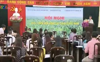 Phát triển bền vững cây chuối ở Việt Nam