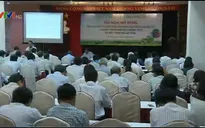 Đẩy mạnh sản xuất nông nghiệp theo hướng VietGAP