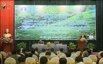 Hình thức sở hữu, sử dụng về rừng chưa được minh bạch hóa