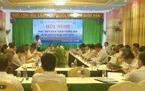 Phát triển rừng trồng bằng vốn tín dụng quay vòng của WB3
