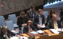 LHQ họp khẩn về xung đột Israel - Palestine