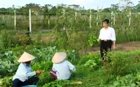 HTX nông nghiệp tìm hướng đi mới trong phân phối sản phẩm
