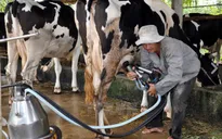 TP.HCM: Ghi nhận chuyển biến tích cực sau 5 năm xây dựng nông thôn mới