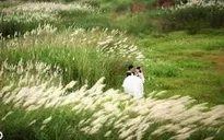 Giới trẻ thích thú chụp ảnh tại đầm lau bãi đá sông Hồng