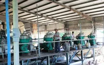 Đăk Lăk: Quy hoạch 5 nhà máy chế biến tinh bột sắn