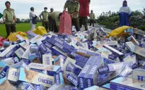 Tăng cường chống buôn lậu thuốc lá dịp Tết Nguyên đán