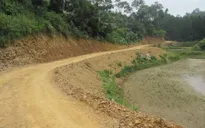 TT-Huế: Đầu tư 54 tỷ đồng cho hệ thống đường lâm nghiệp