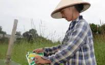 Thu gom hơn 10 tấn rác thải bảo vệ thực vật