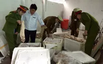 Bắt giữ hơn 1 tấn nội tạng bò đang phân hủy tại Nghệ An