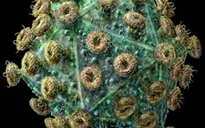 Cuộc sống khó khăn của người nhiễm HIV tại Nga