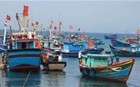 Phú Yên: Tăng cường quản lý tàu cá ngừ đánh bắt xa bờ