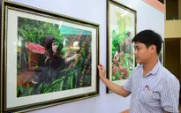 Nhiều hoạt động chào mừng Lễ hội cà phê Buôn Ma Thuột