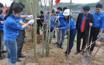 Nhiều địa phương phát động Tết trồng cây Xuân Ất Mùi 2015