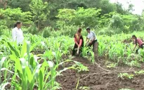 Việt Nam tham gia Sáng kiến "Không còn nạn đói"