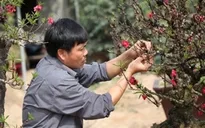 Nghệ nhân Hà Thành trăn trở với đào thất thốn