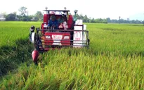 6 tháng đầu năm, GDP nông nghiệp tăng trưởng 2,36%