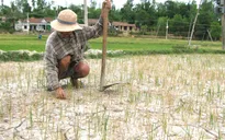 EVN đảm bảo yêu cầu cấp nước vùng khô hạn