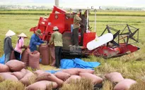 Lập "nhóm phản ứng nhanh" về xuất khẩu nông sản