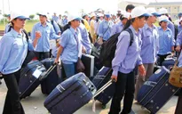 Năm 2015, hơn 7.000 lao động có cơ hội sang Hàn Quốc làm việc
