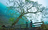 Phim mới “Mạch ngầm vùng biên ải”: Bức tranh sinh động và rõ nét về cuộc sống vùng biên