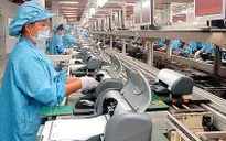Việt Nam đứng đầu về FDI trong tăng trưởng xanh