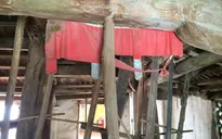 Hà Nội: Chùa Phúc Lâm 500 tuổi đứng trước nguy cơ đổ sập