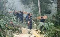 Phim Việt đặc sắc trong khung "giờ Vàng" trên kênh VTV1