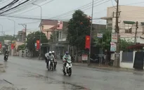 Những cơn "mưa vàng" tại Ninh Thuận