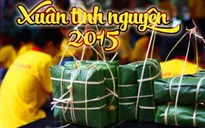 TP.HCM: Tưng bừng lễ ra quân Chiến dịch Xuân tình nguyện 2015