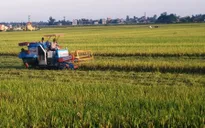 Ninh Bình: Sét đánh làm 4 người thiệt mạng