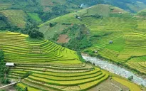 Du khách sẽ được tham gia biểu diễn dù bay trong Tuần văn hóa ruộng bậc thang