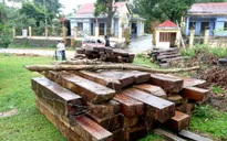 Kỷ luật nhiều cán bộ để mất rừng
