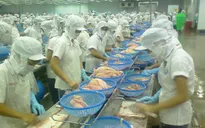 Phản đối thuế chống bán phá giá cá tra VN