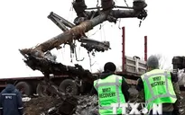 Chuyên gia Hà Lan trở lại hiện trường vụ tai nạn máy bay MH17