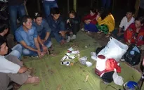 Truy bắt 11 con bạc “sát phạt” giữa rừng keo