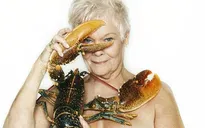 Vì đâu sao phim 007 Judi Dench khỏa thân cùng tôm hùm?