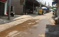 Từ trò chơi bắn cá đến cú đâm chết người