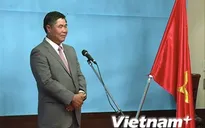 Lễ hội Việt Nam tại Nhật Bản - cơ hội gắn kết tình hữu nghị
