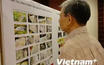Kết quả khảo cổ học ở Trường Sa khẳng định chủ quyền biển đảo