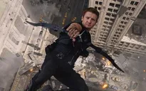 Siêu anh hùng Hawkeye sẽ xuất hiện trong "Captain America 3"?