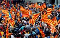 Tây Ban Nha: Hơn 80% cử tri Catalonia ủng hộ nền độc lập