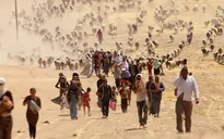 IS lại gây chấn động với vụ thảm sát 80 người dân Yazidi