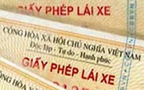 CHOÁNG khi liên tục phát hiện tài xế xe khách sử dụng bằng lái giả