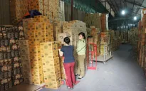 Hà Nội: Phát hiện hàng chục tấn bánh kẹo, mỹ phẩm…nghi hàng lậu