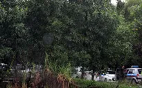 Nhan nhản “cò mồi”, taxi “dù” ở sân bay Nội Bài!