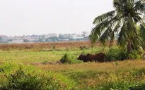 Xôn xao công trình quảng trường nghìn tỉ