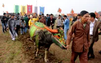 Khai hội đền Mẫu Âu Cơ và Lễ hội Tịch điền Đọi Sơn