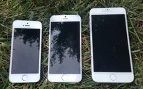 iPhone và những ý nghĩa ẩn sau chữ S